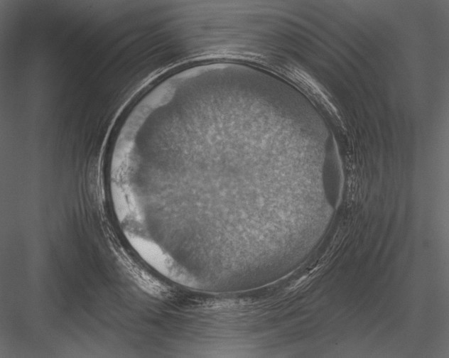 X0000082990892200702230057