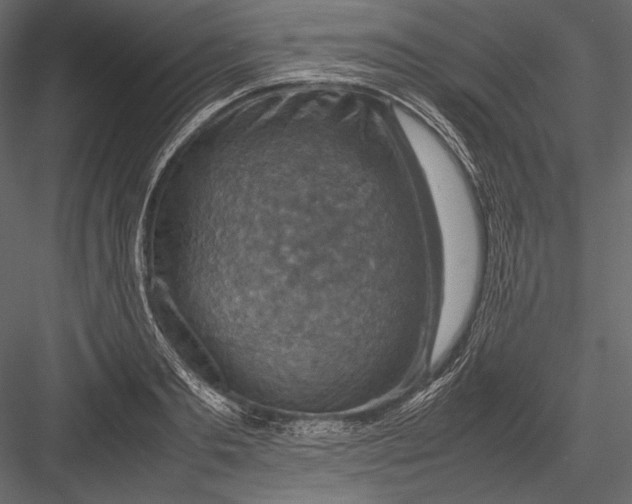 X0000082990893200702230057