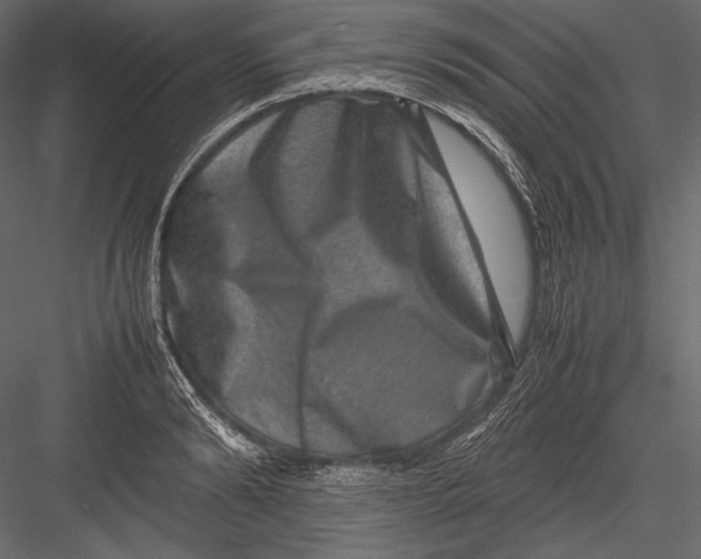 X0000082990894200702230057