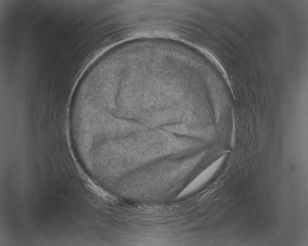 X0000082990895200702230057