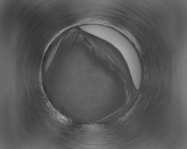 X0000082990896200702230057