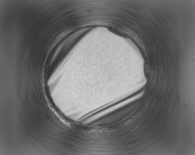 X0000082990898200702230057