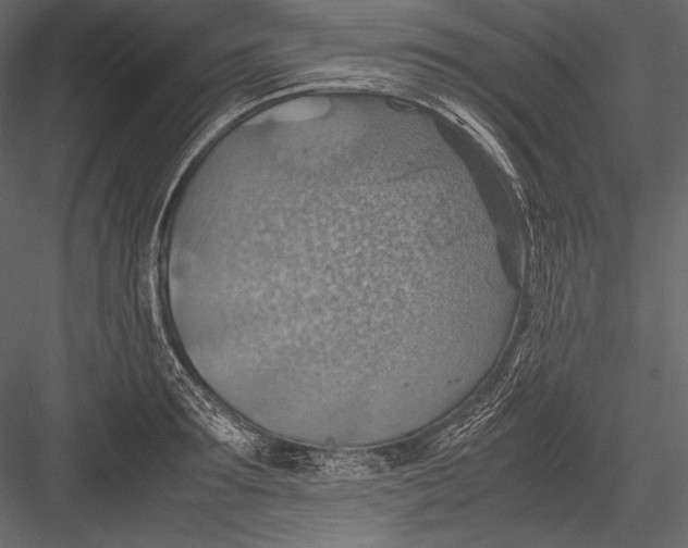 X0000082990899200702230057