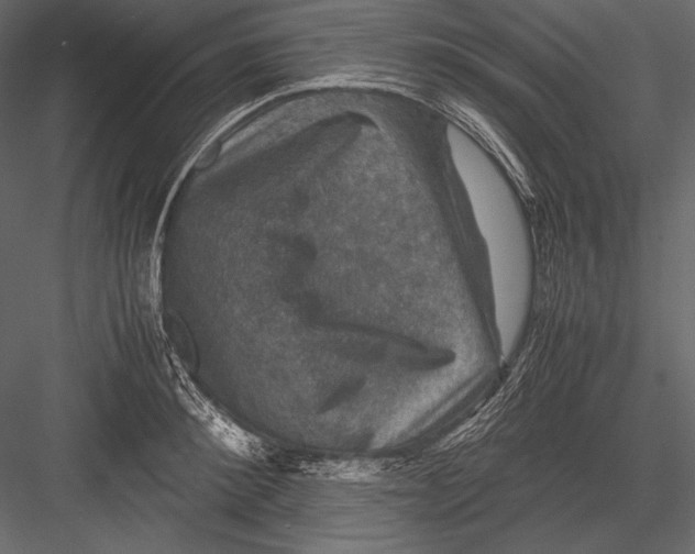 X0000082990900200702230057