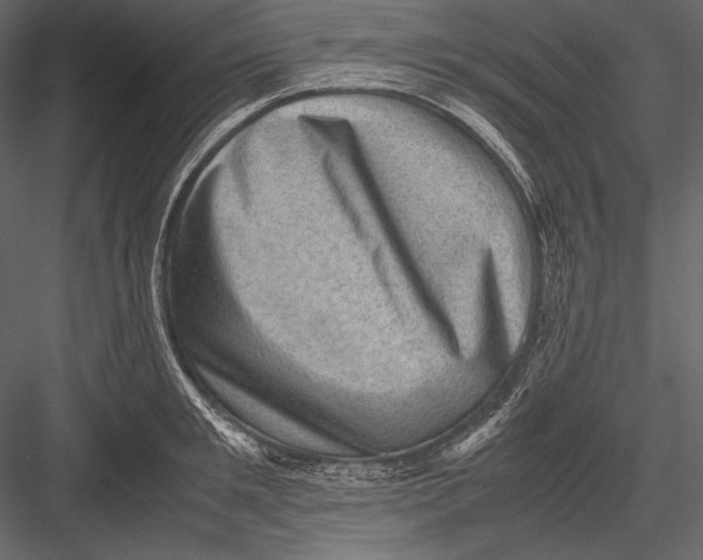 X0000082990901200702230057