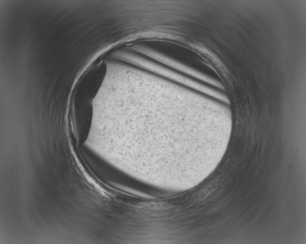 X0000082990902200702230057