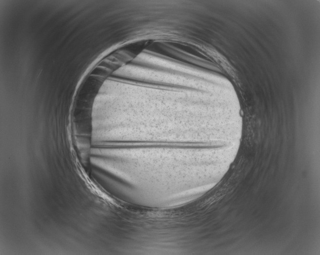 X0000082990904200702230057