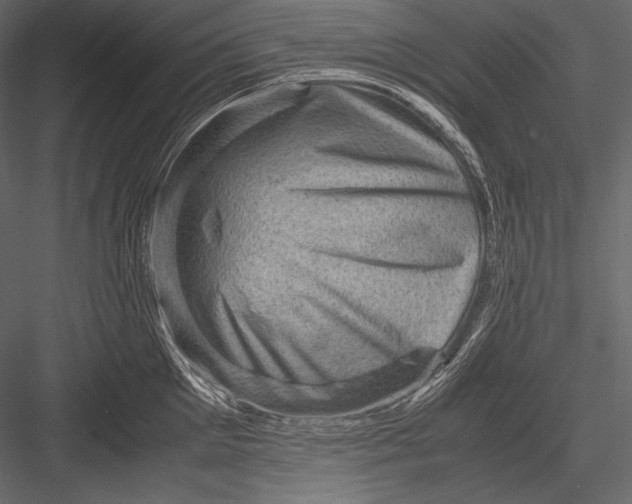 X0000082990905200702230057