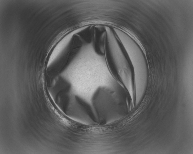 X0000082990906200702230057