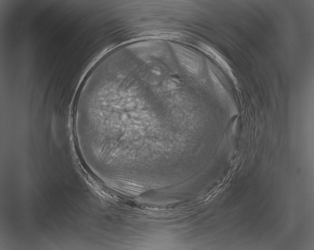 X0000082990907200702230057