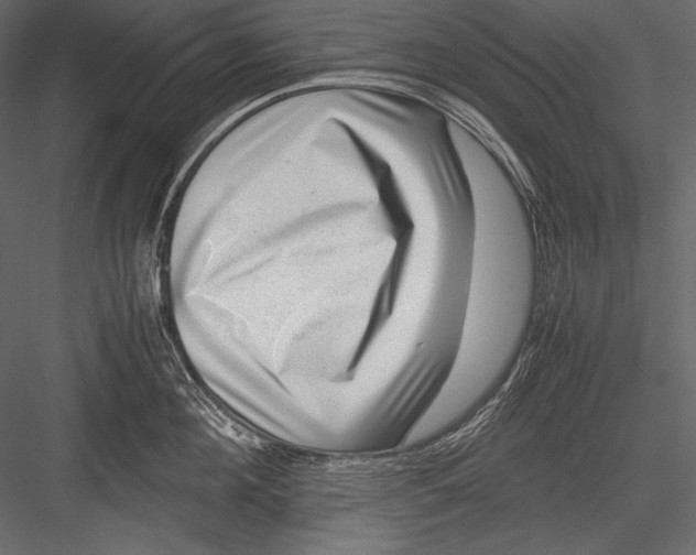 X0000082990908200702230057