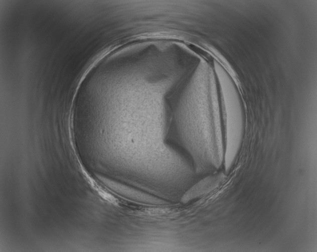 X0000082990909200702230057