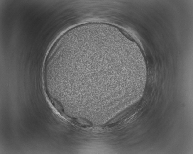 X0000082990911200702230056