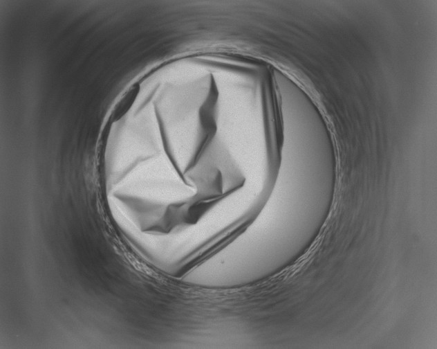 X0000082990912200702230056