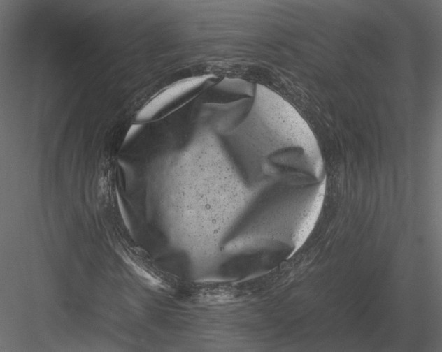 X0000082990914200702230056