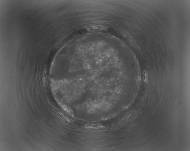 X0000082990915200702230056