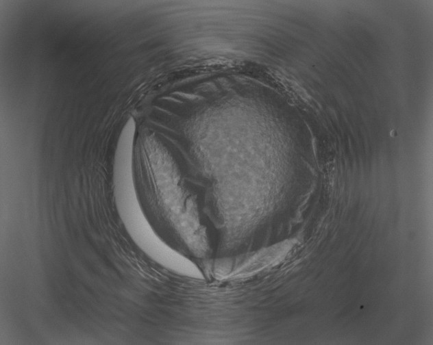 X0000082990916200702230056