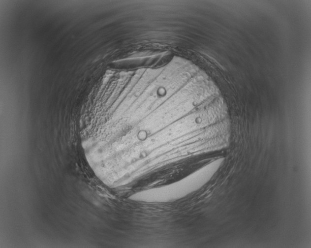 X0000082990917200702230056