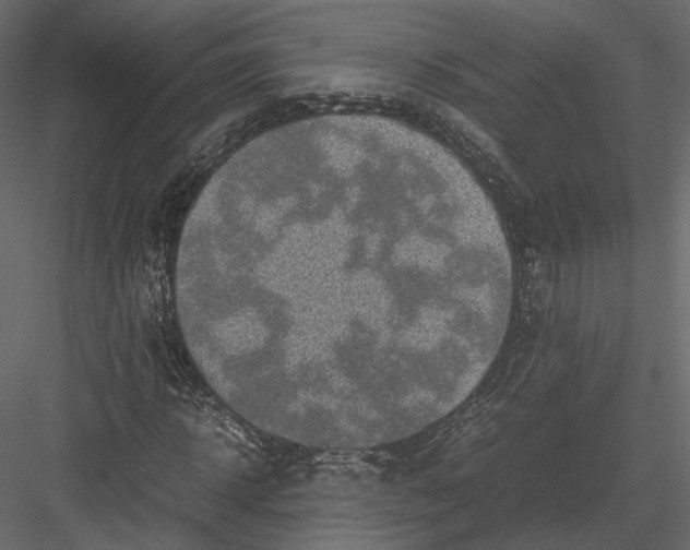 X0000082990918200702230056