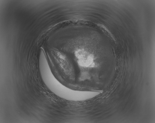 X0000082990919200702230056