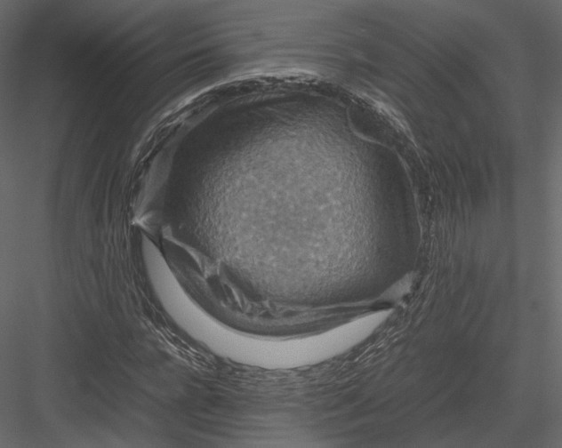 X0000082990920200702230056