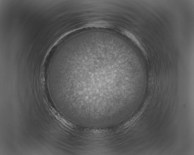 X0000082990923200702230056