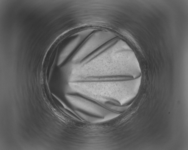 X0000082990924200702230056