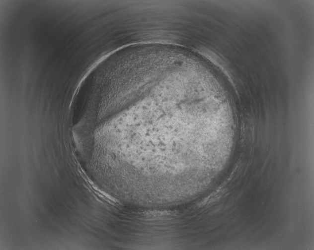 X0000082990925200702230056