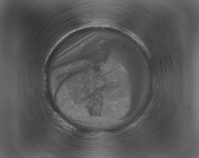 X0000082990926200702230056