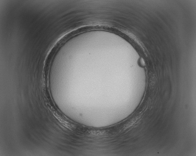 X0000082990927200702230056