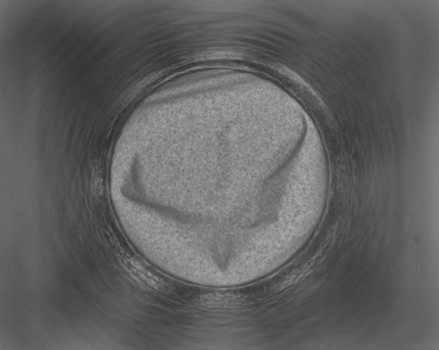 X0000082990929200702230056