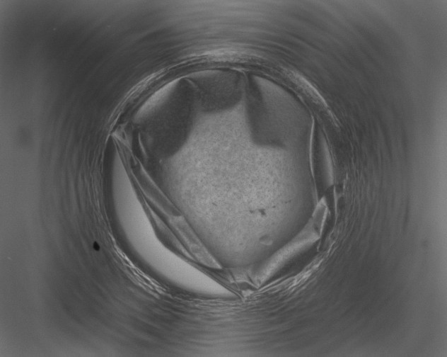 X0000082990930200702230056