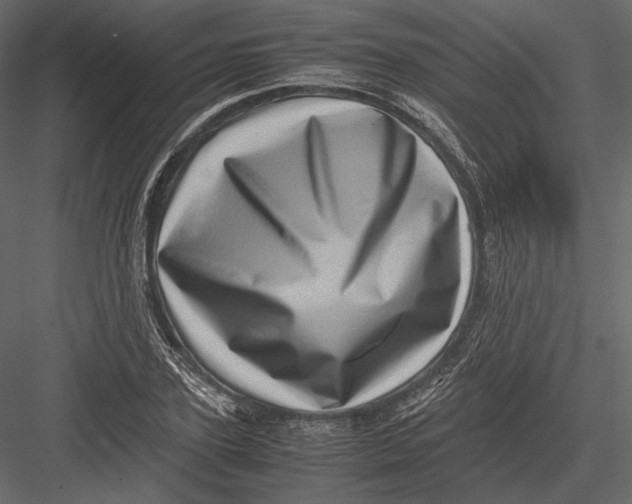 X0000082990931200702230056