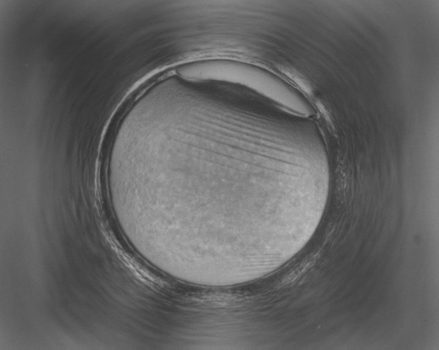 X0000082990932200702230056