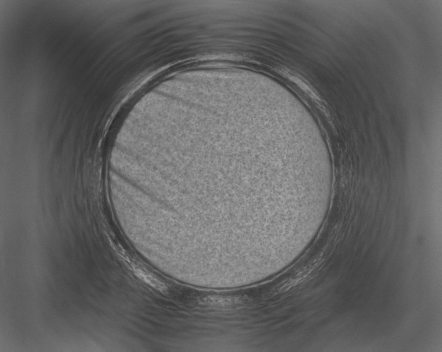 X0000082990933200702230056