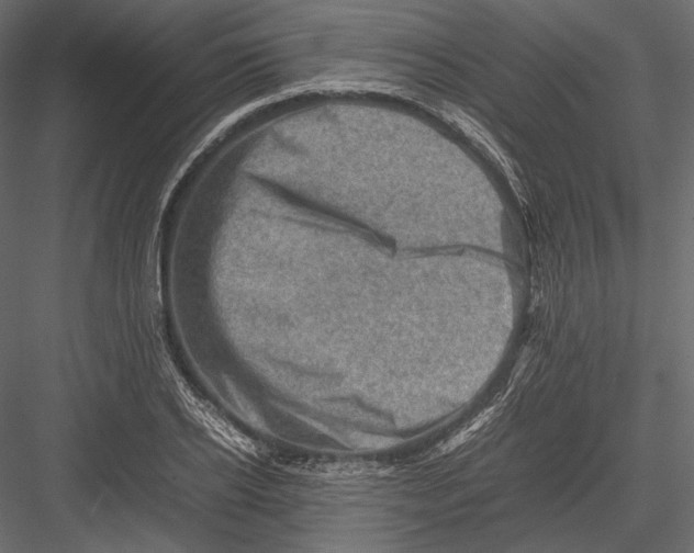 X0000082990934200702230056