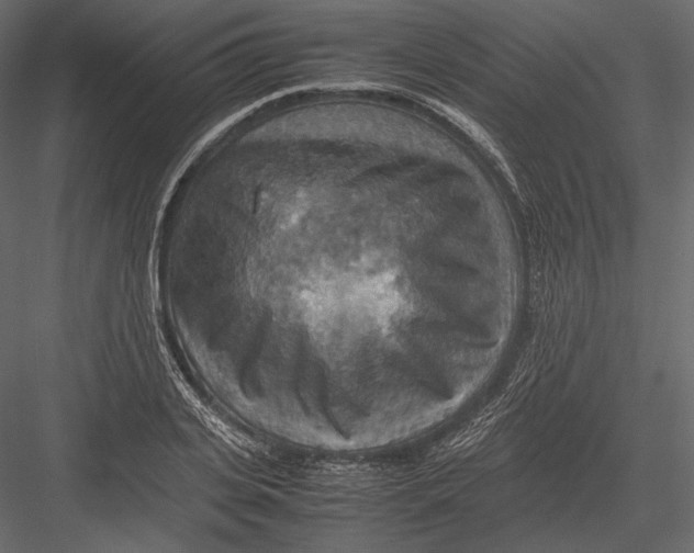 X0000082990935200702230056