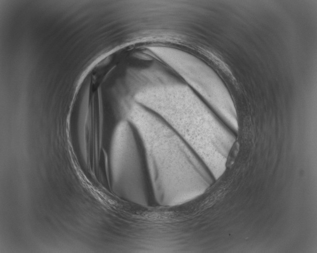 X0000082990936200702230056