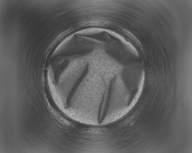 X0000082990938200702230056