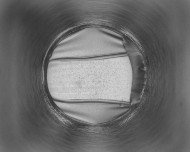 X0000082990940200702230056