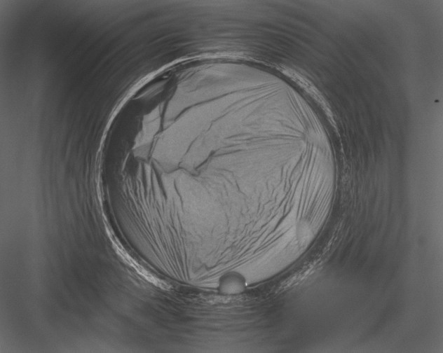 X0000082990941200702230056