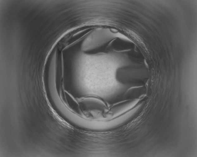 X0000082990942200702230056