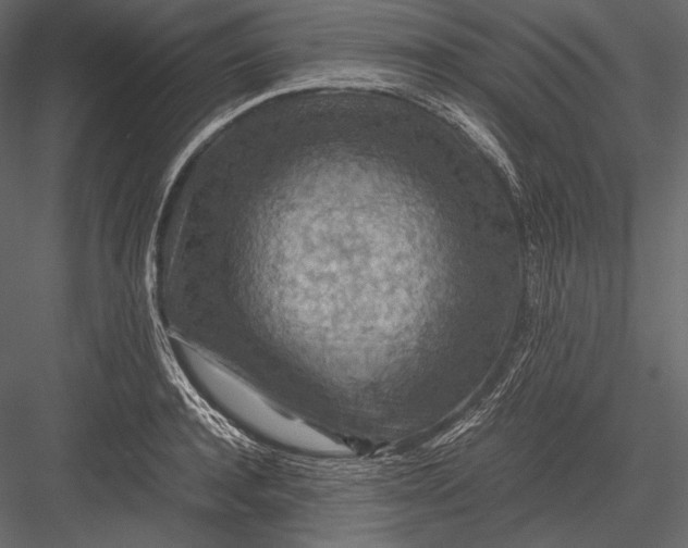 X0000082990944200702230056