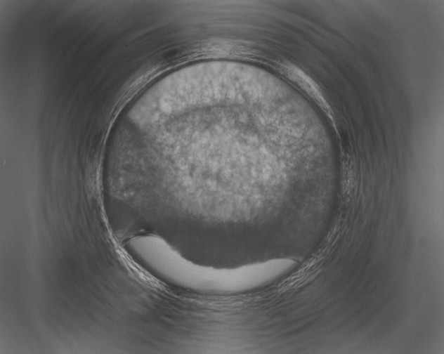 X0000082990946200702230056