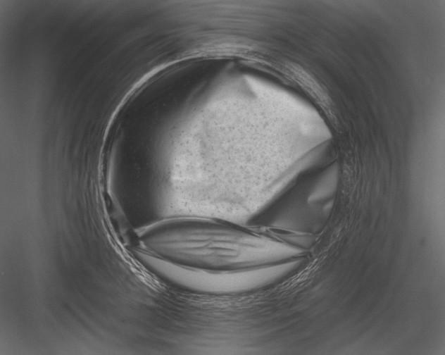 X0000082990948200702230056