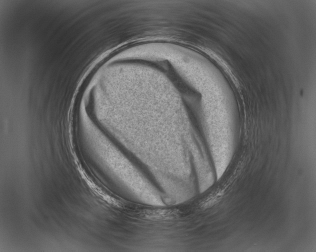 X0000082990949200702230056