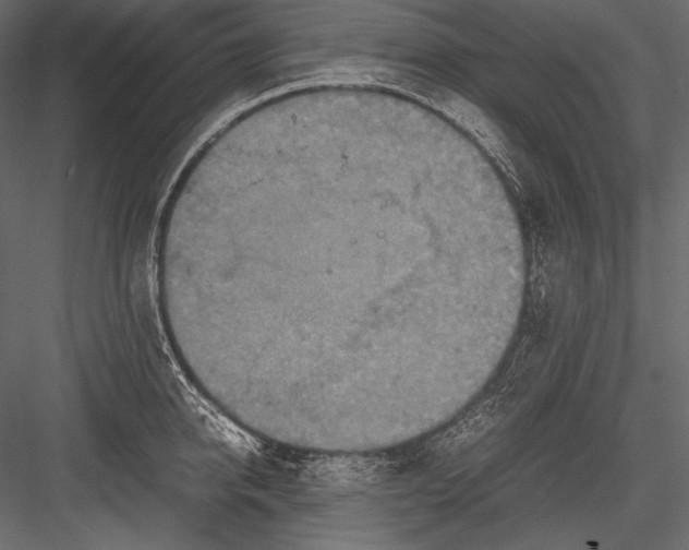 X0000082990950200702230056