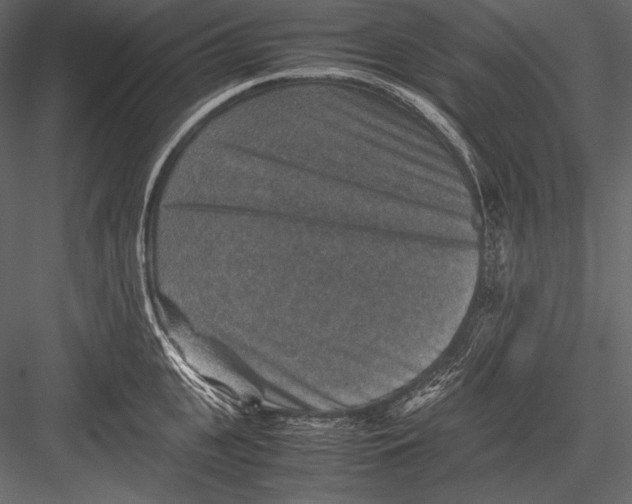 X0000082990951200702230056