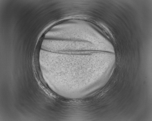 X0000082990952200702230056