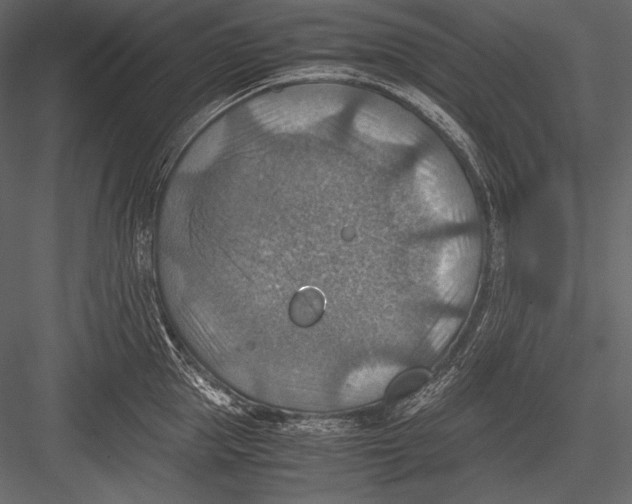 X0000082990953200702230056